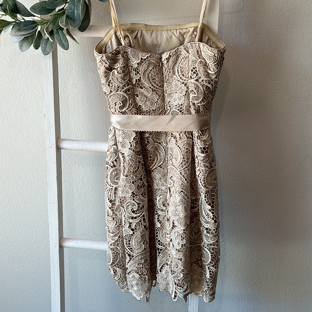 Adrianna Papell- Strapless, Laced Cocktail  Dress- Sz 4 - Picture 6 of 8